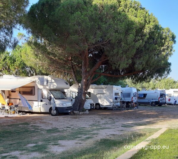 AREA CAMPER  CAMPING IL SOLE — Foto 4