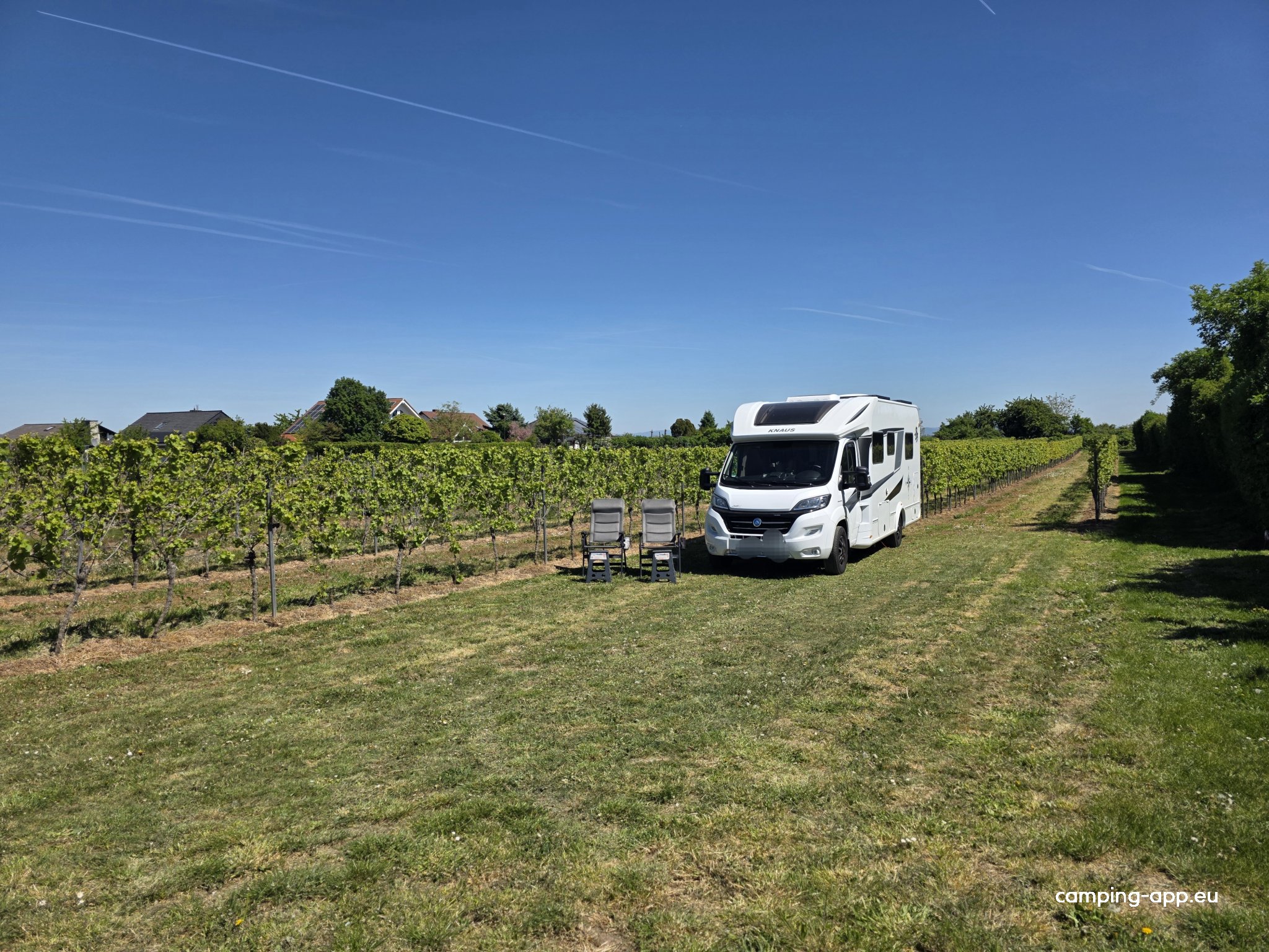 Weingut Kiefer — Vinařství in WO