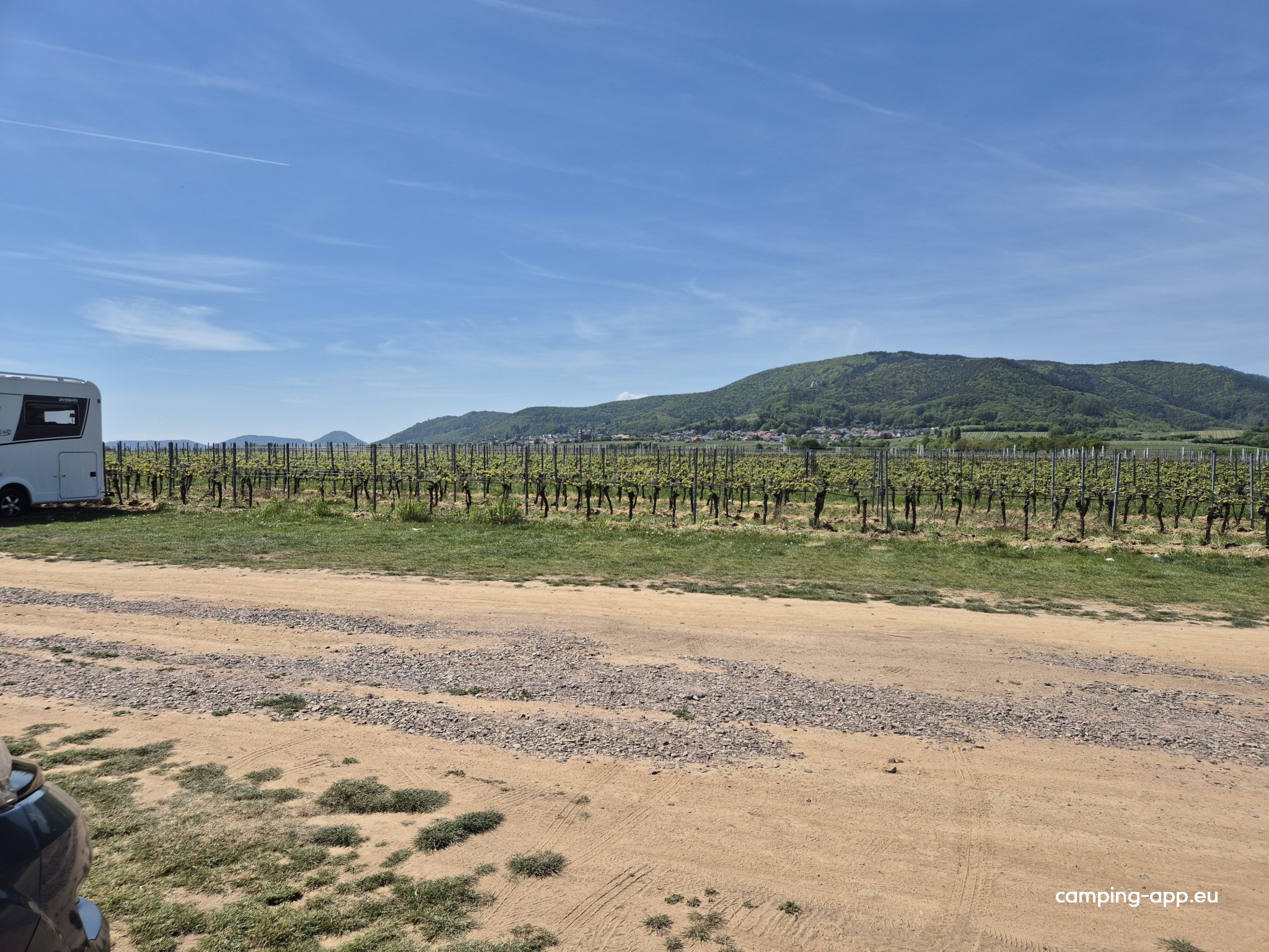 Weingut Bernhard Koch — Photo 4
