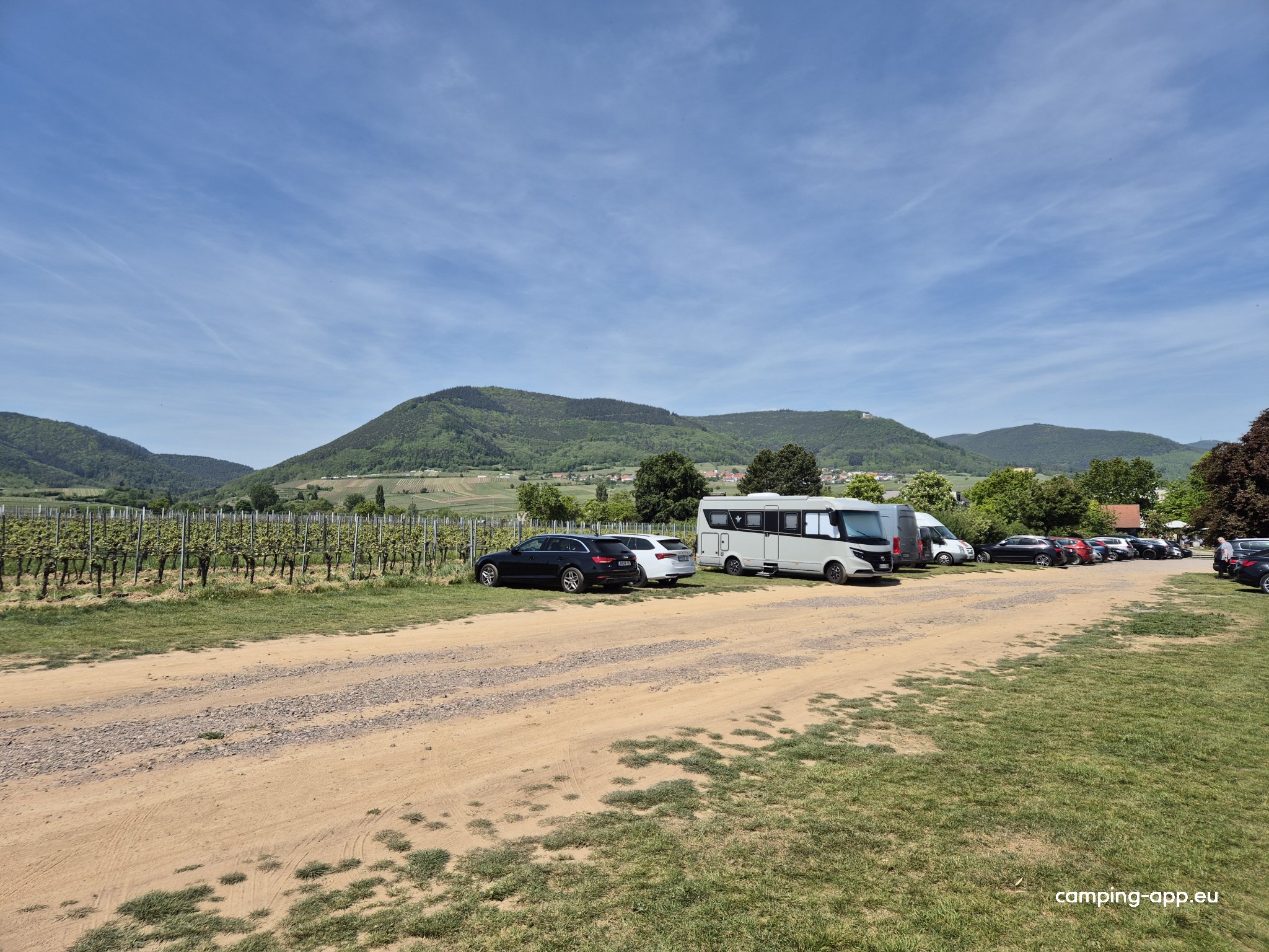 Weingut Bernhard Koch — Photo 5