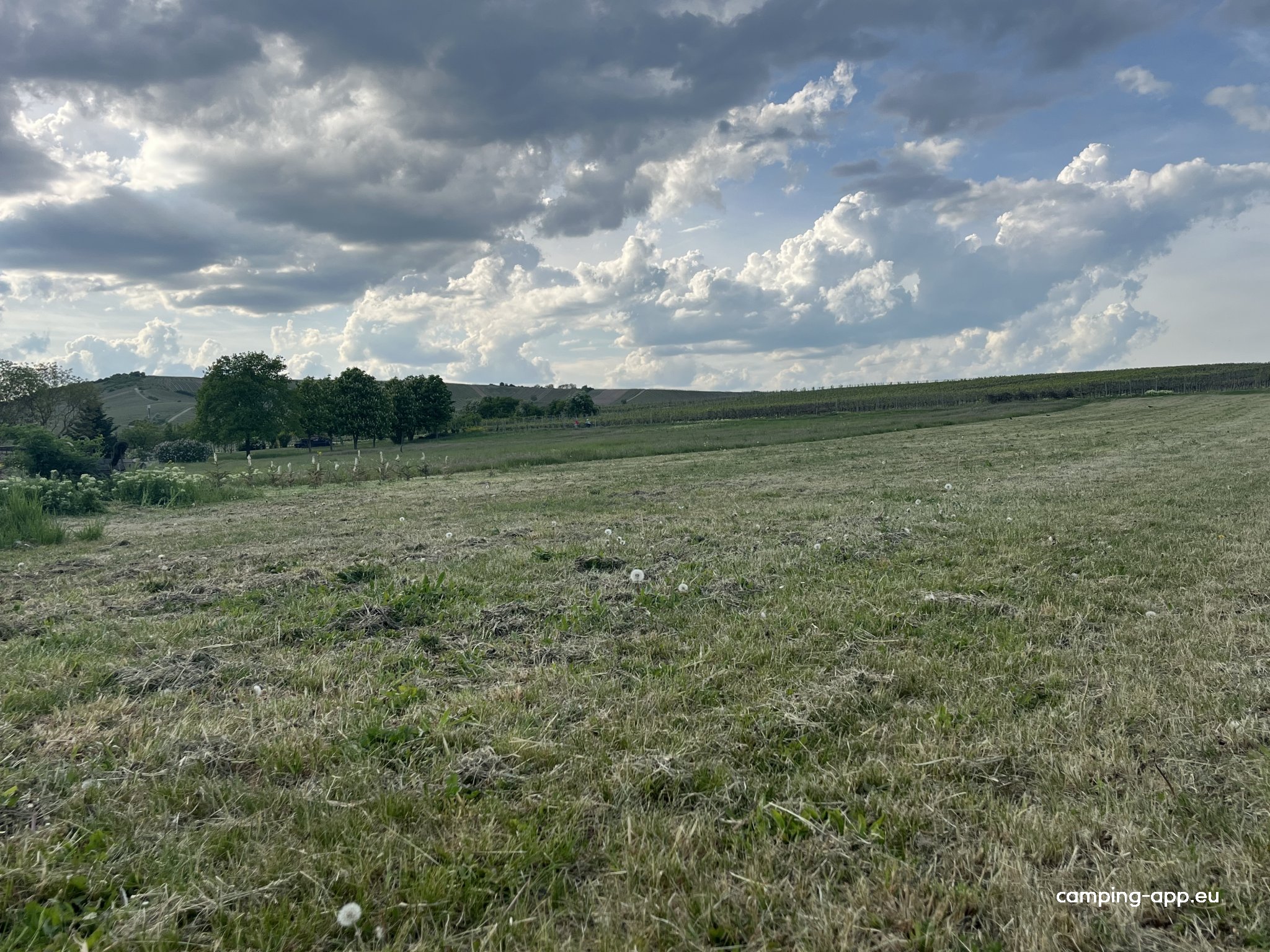 Weingut Schrauth — Photo 5