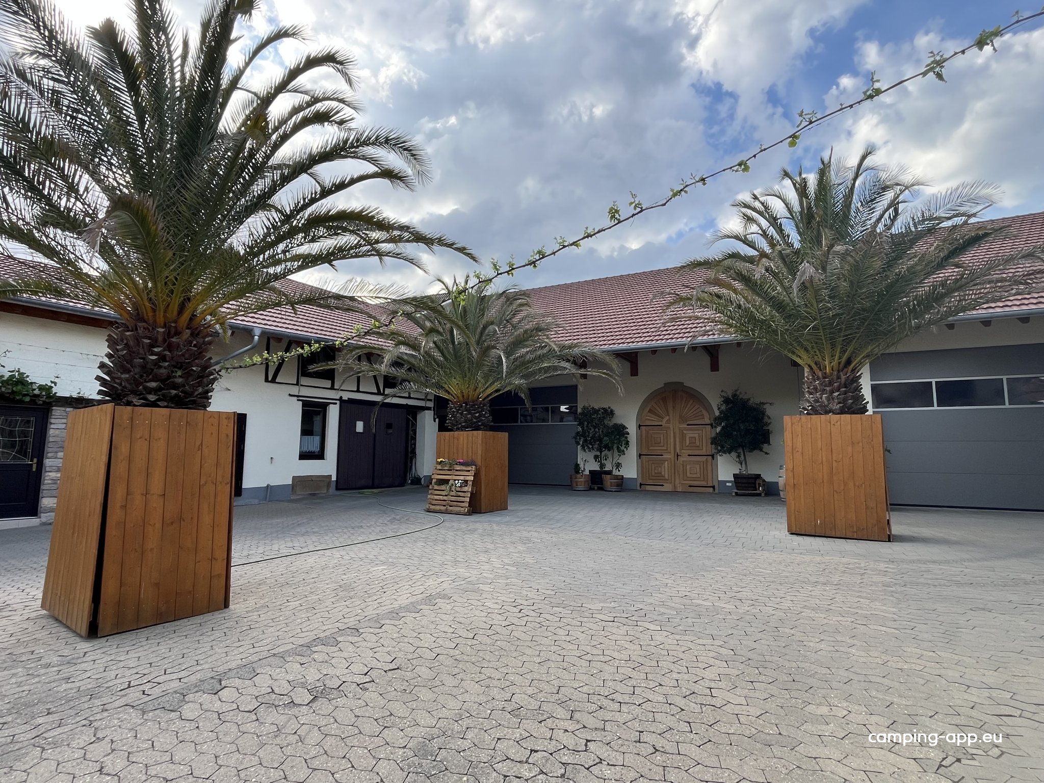 Weingut Schrauth — Photo 4