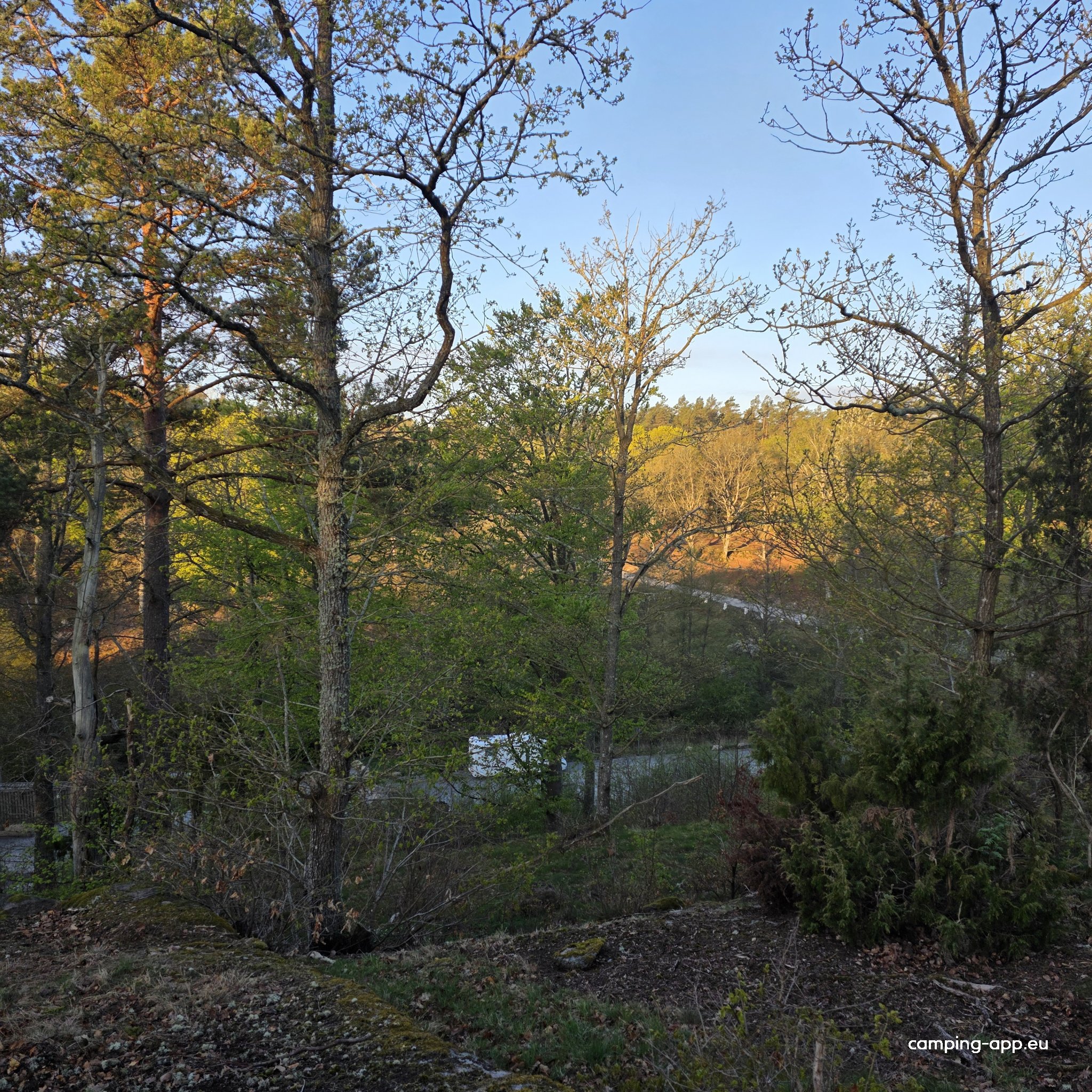 Eriksbergs Vilt- och Naturpark — Photo 5