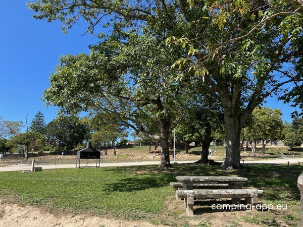 Ledicia Camper Park — Photo 2