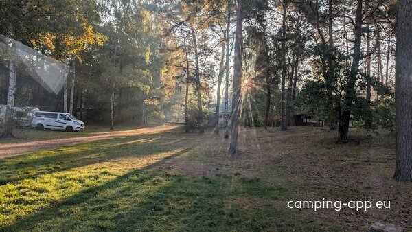 Waldcamp Seeblick — Photo 3