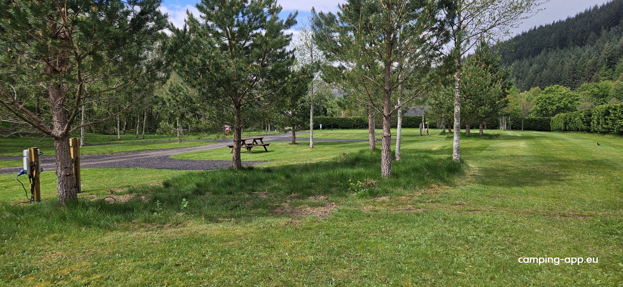 Forest Glen Holiday Park — Photo 3