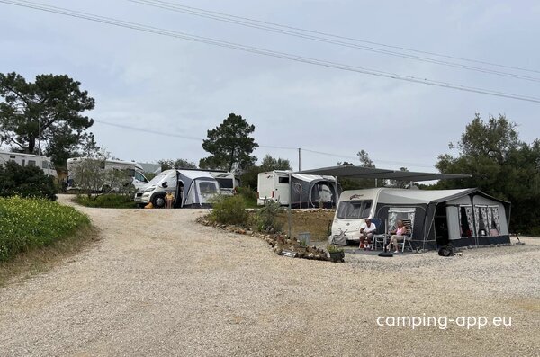 The Lemon Tree Villa — Photo 2