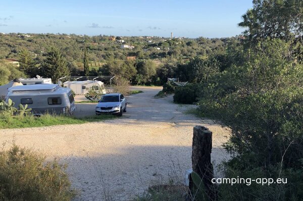 The Lemon Tree Villa — Photo 3