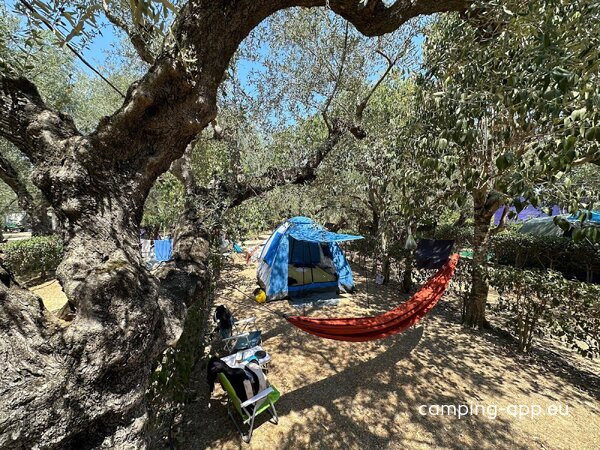 Camping Paradise — Photo 4