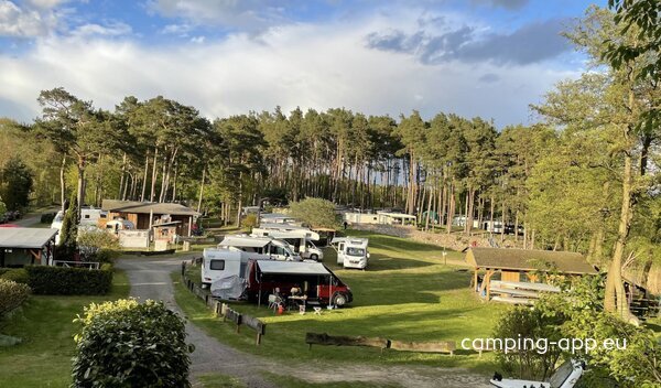 Campingplatz am Röddelinsee — Foto 5