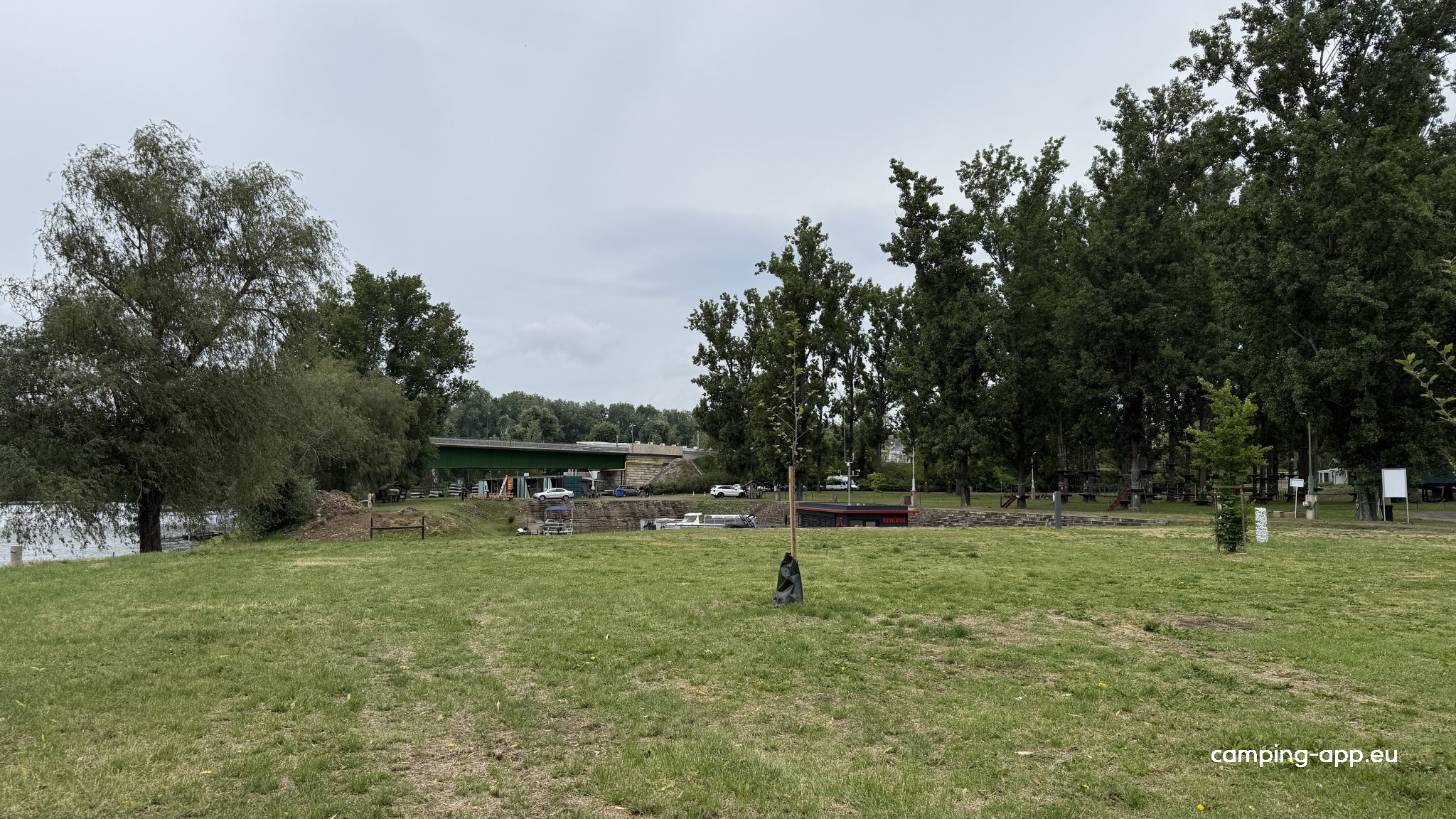 Tisza Camping — Foto 2