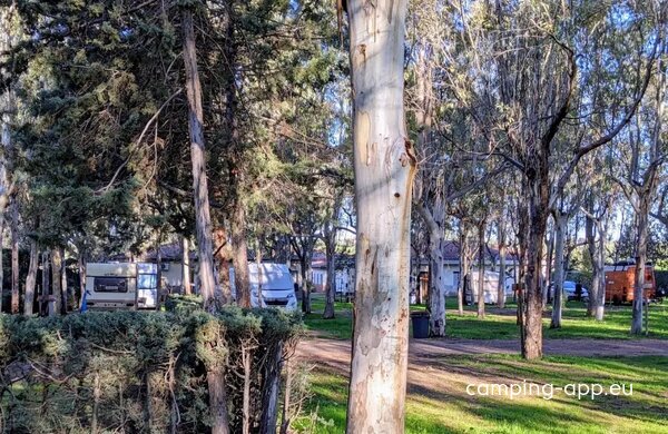 Camping Mérida