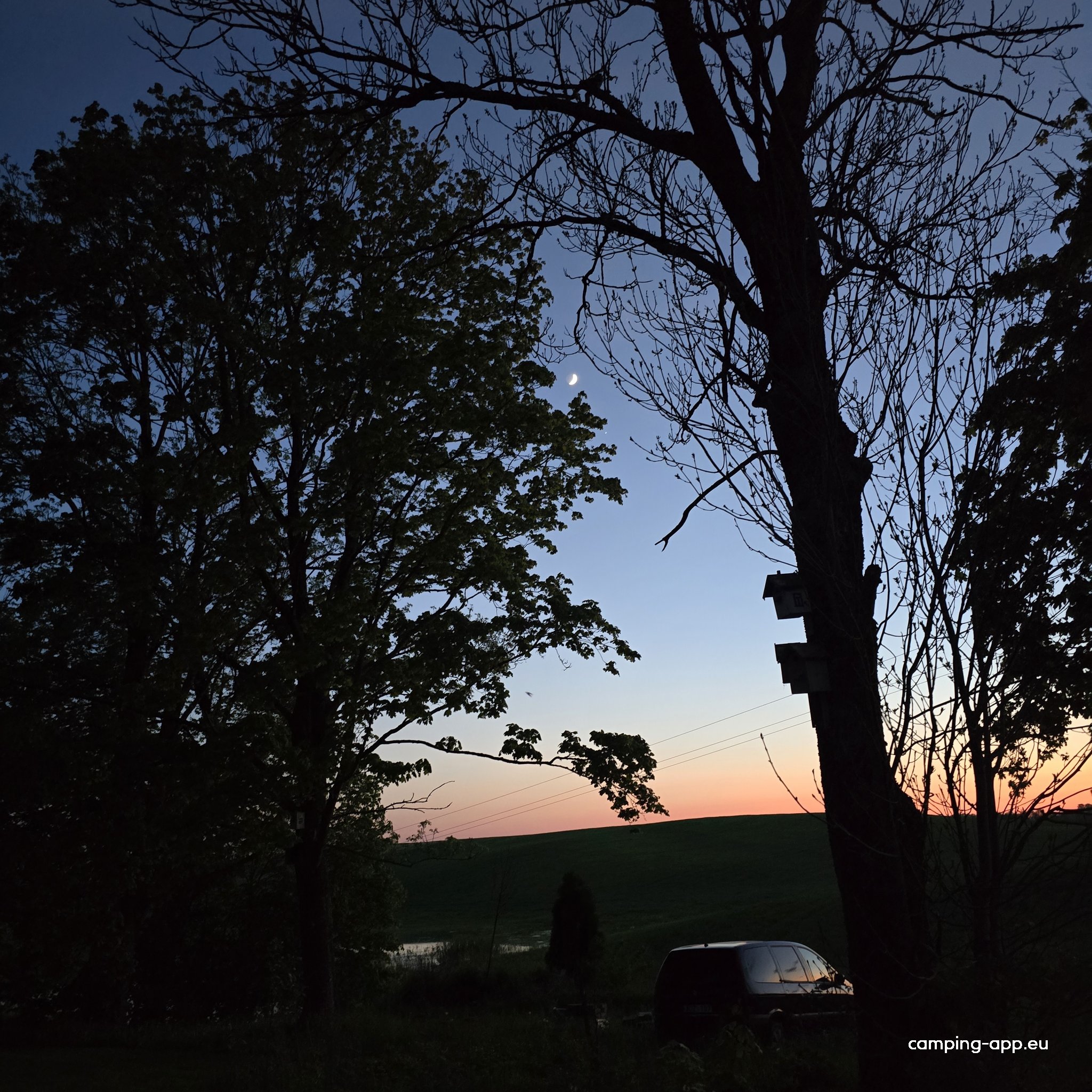 Dvilys vineyard and garden — Photo 5