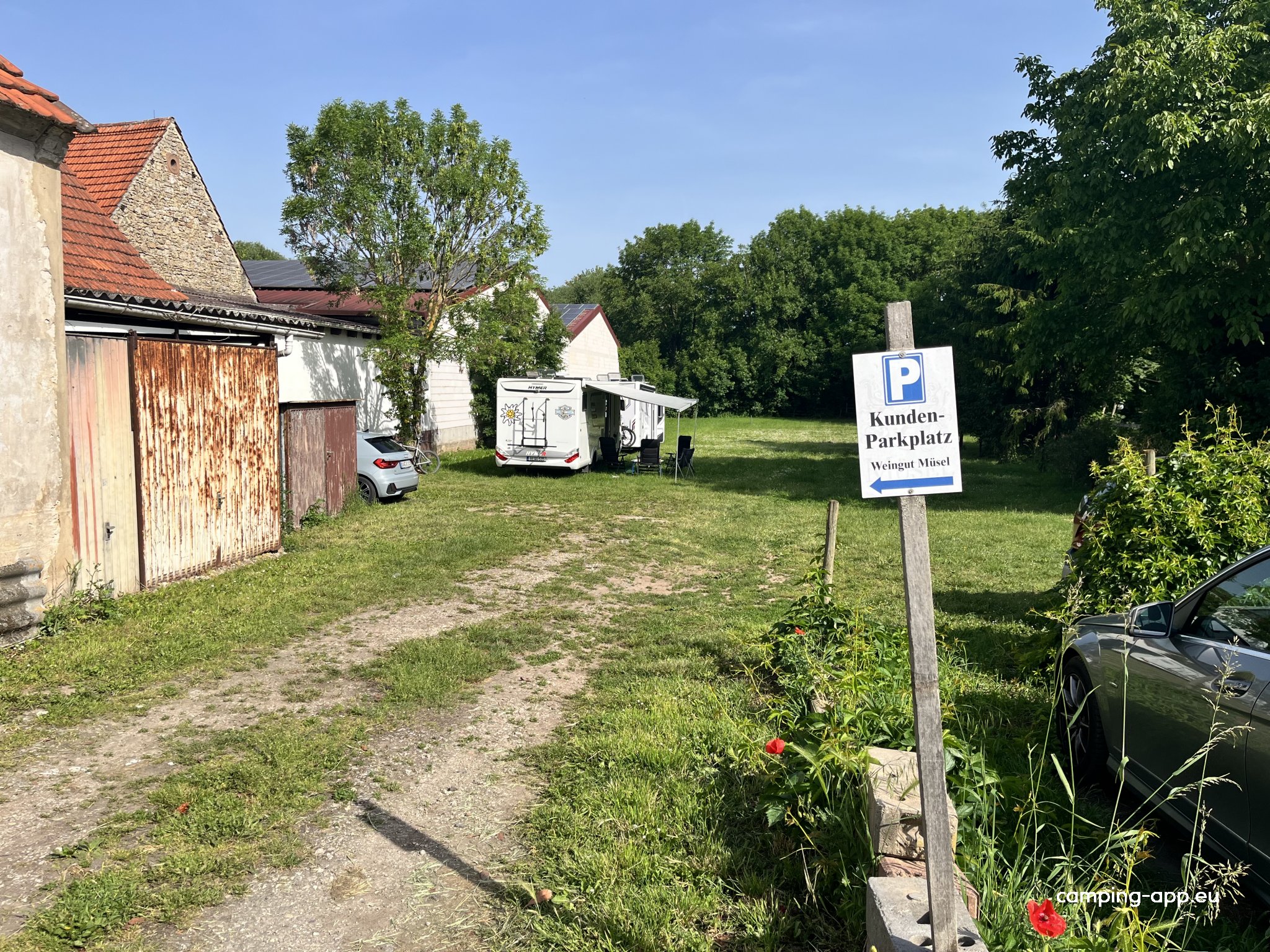 Weingut Müsel — Vinícola in Obrigheim (Pfalz)
