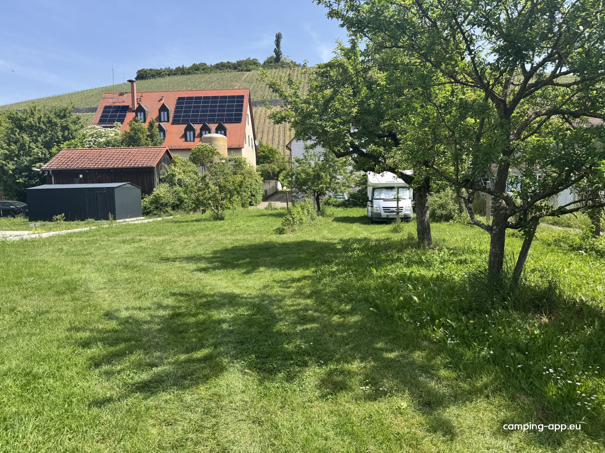 Obstgarten am Weingut Schenk — Foto 6