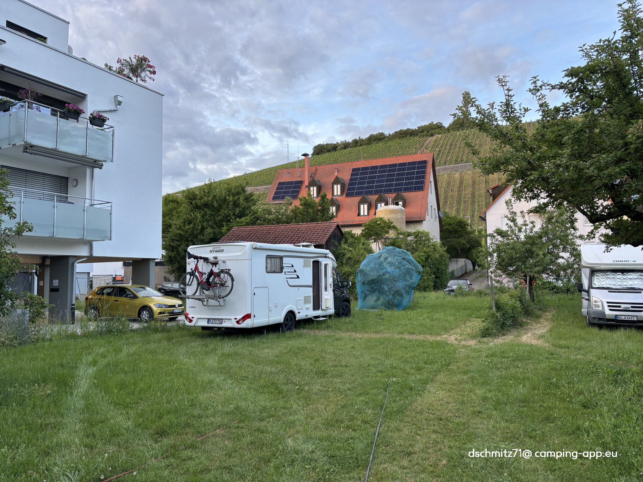 Obstgarten am Weingut Schenk — Vinícola in Randersacker