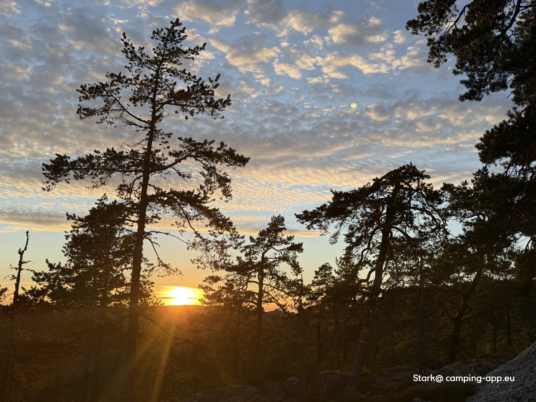Skoghalla Naturcamping — Foto 3