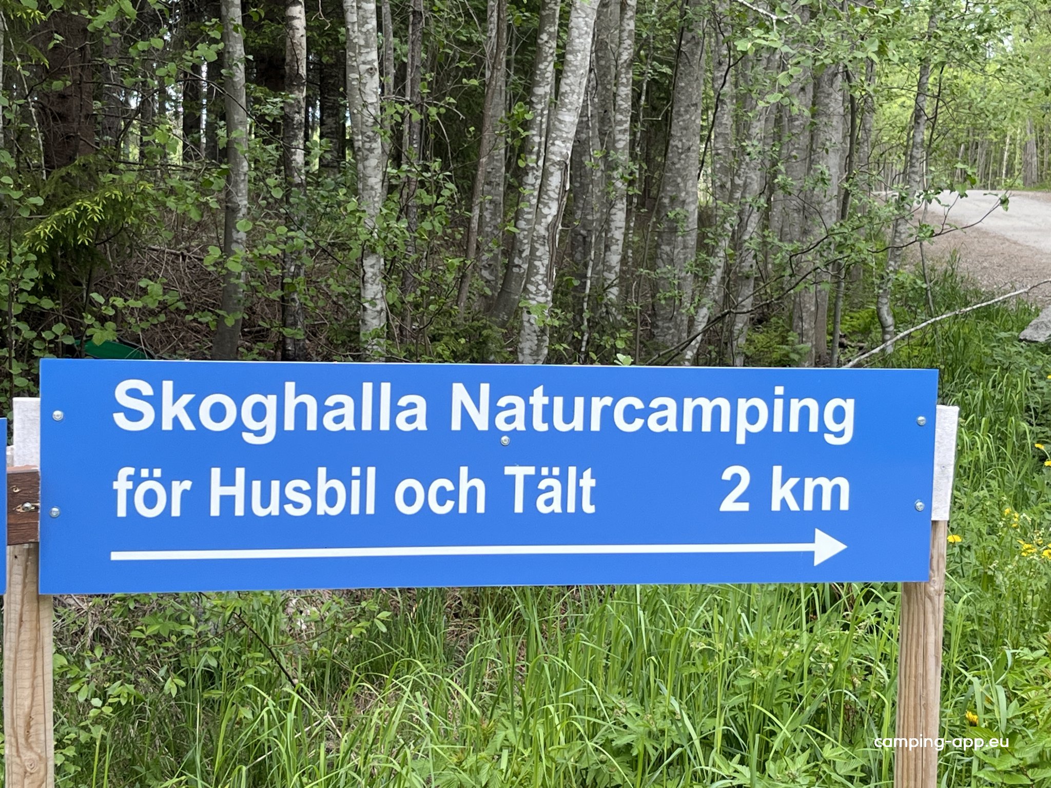 Skoghalla Naturcamping — Foto 6
