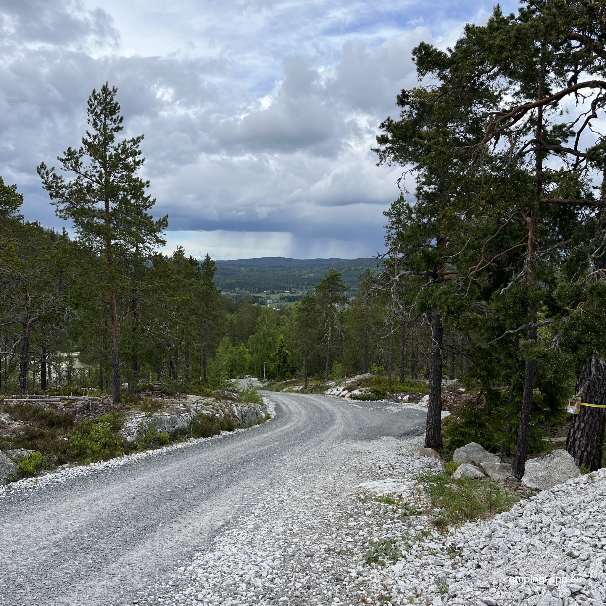 Skoghalla Naturcamping — Camperplads in Skog