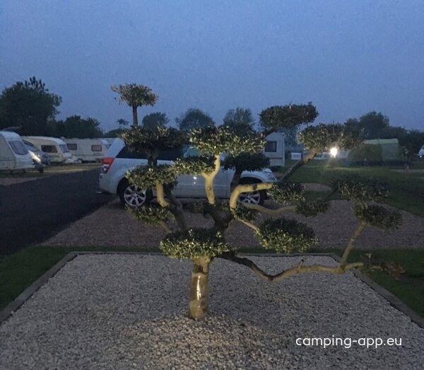 Olive Tree Caravan & Camping Park (adult only) — Foto 4