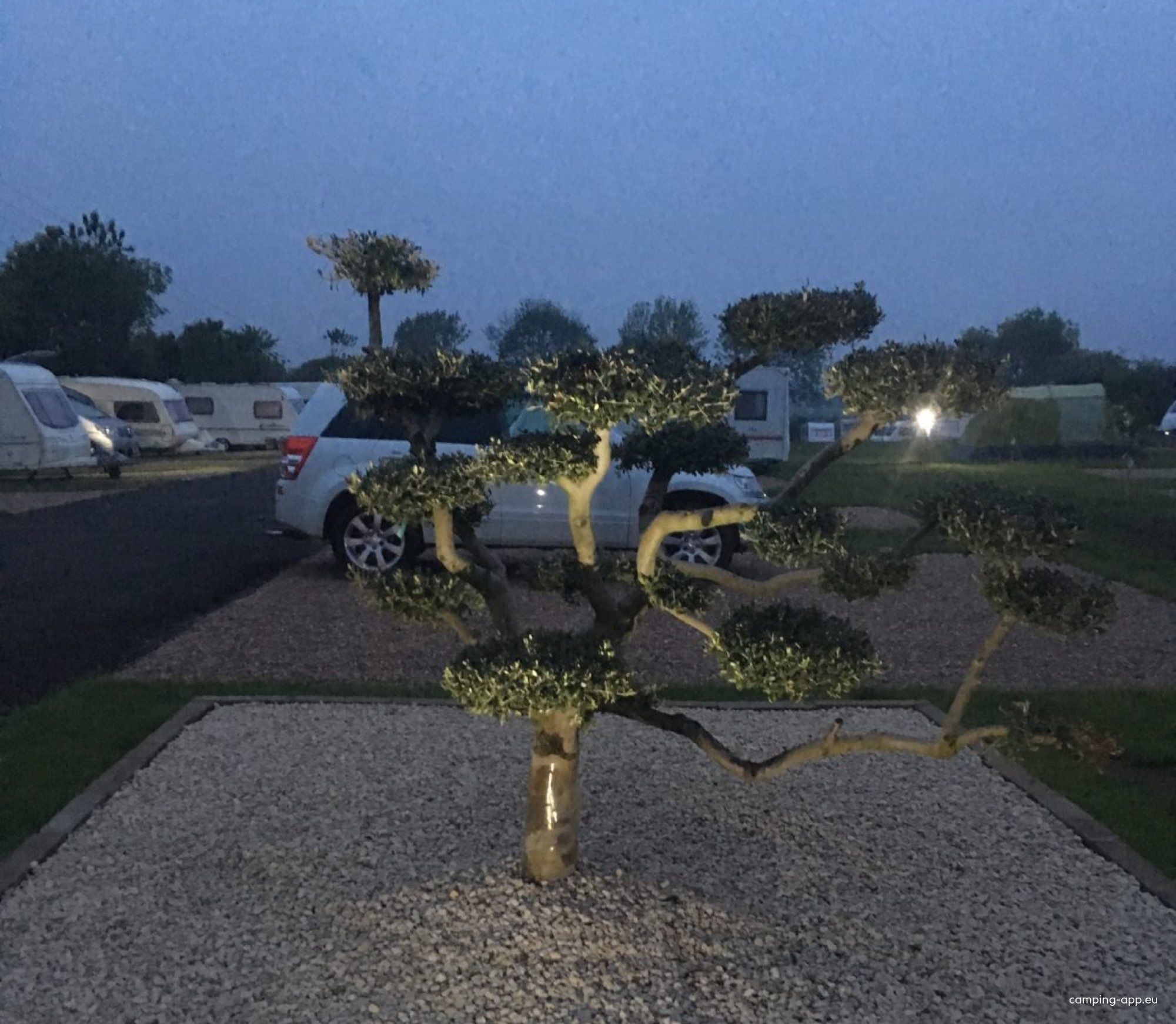 Olive Tree Caravan & Camping Park (adult only) — Campingplass in Bassetlaw