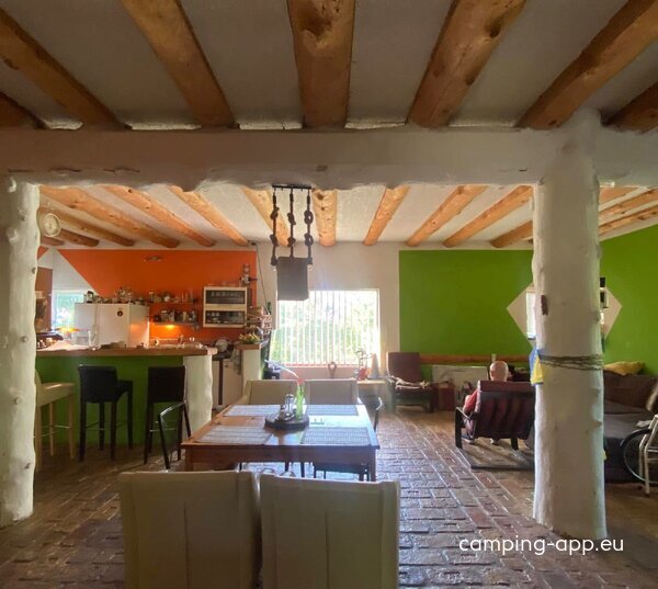 Olywood — Photo 2