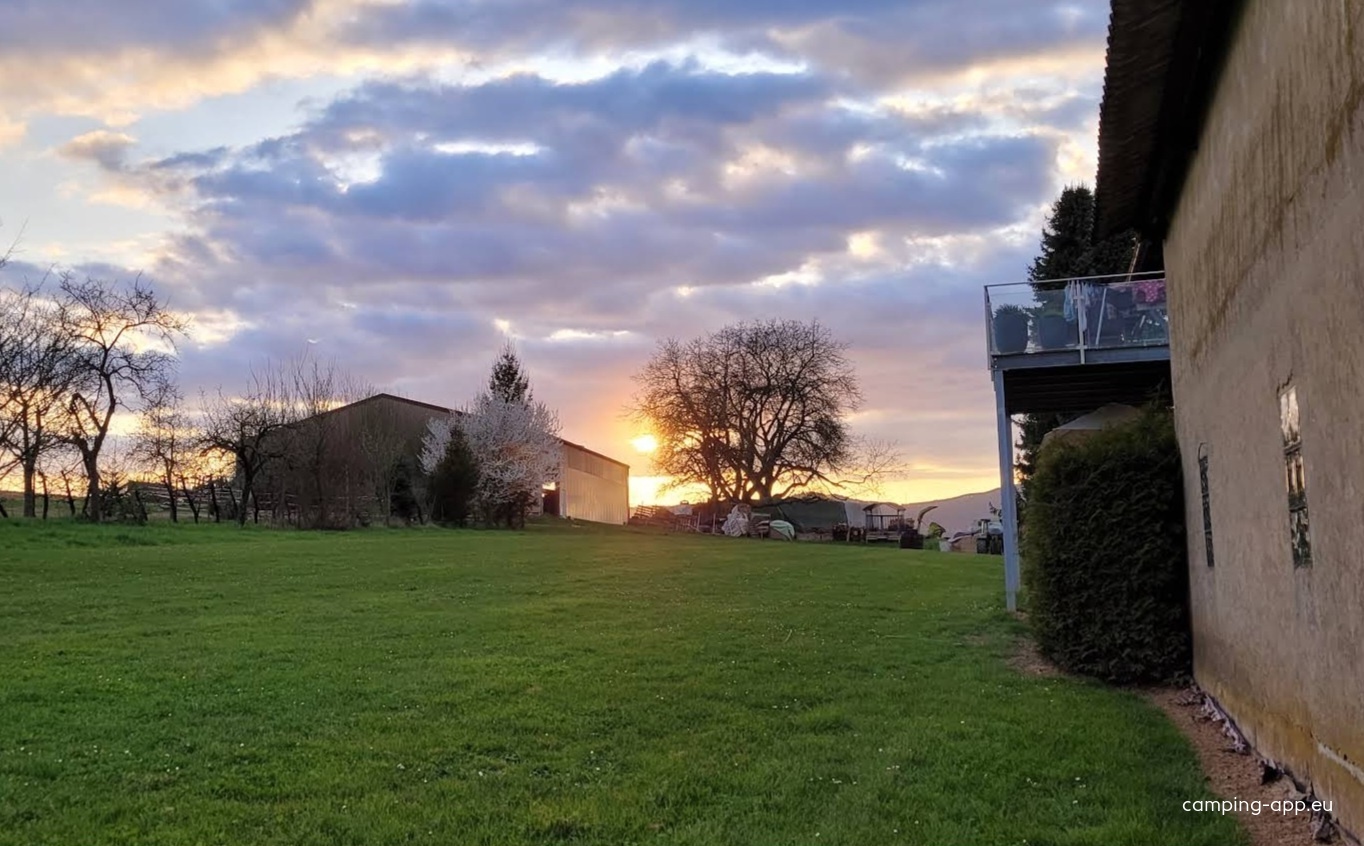 Stellplatz Weingut Däuwel — Vingård in Kapellen-Drusweiler