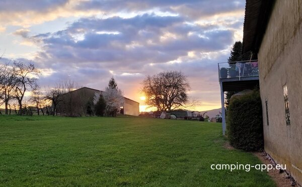 Stellplatz Weingut Däuwel — Foto 2