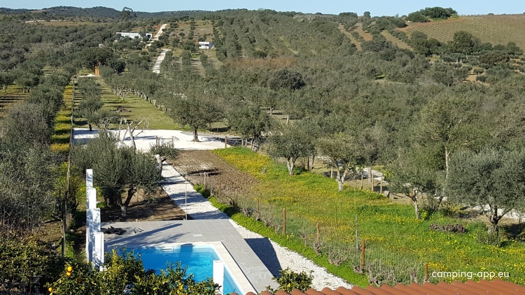 Courela do Ribeiro — Campervan Site in Carrapatelo