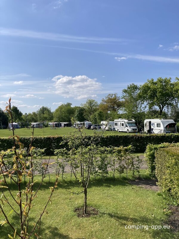 Camping de Waterlelie — Photo 3