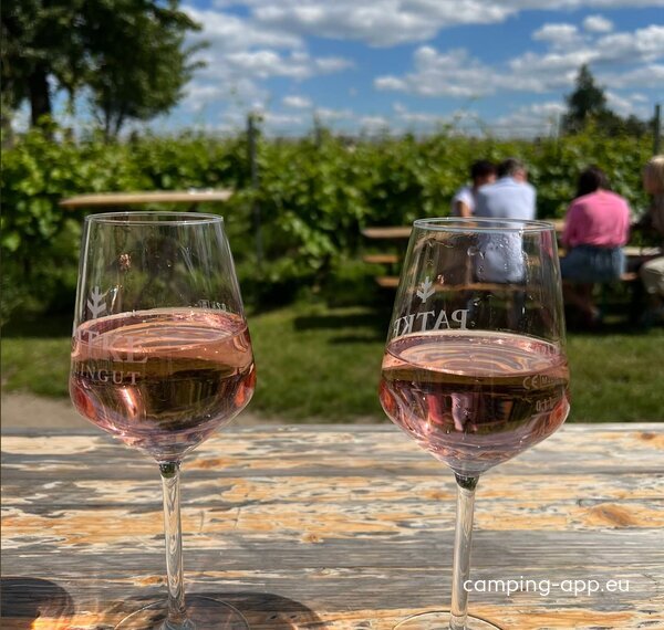 Weingut Patke — Photo 2