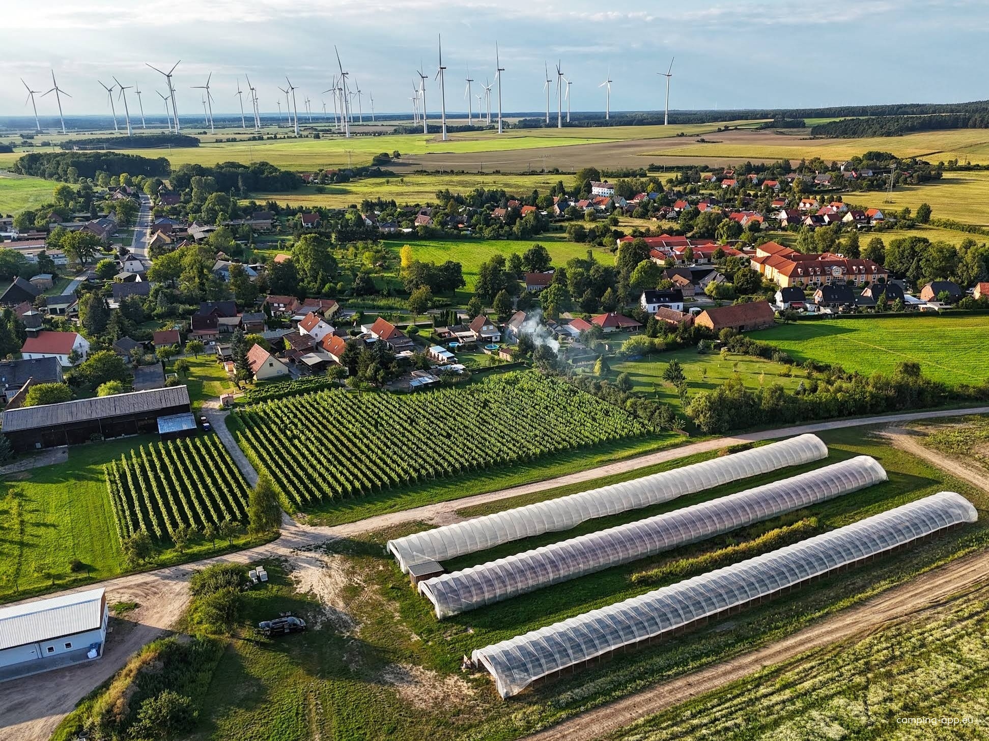 Weingut Patke — Vinícola in Jacobsdorf