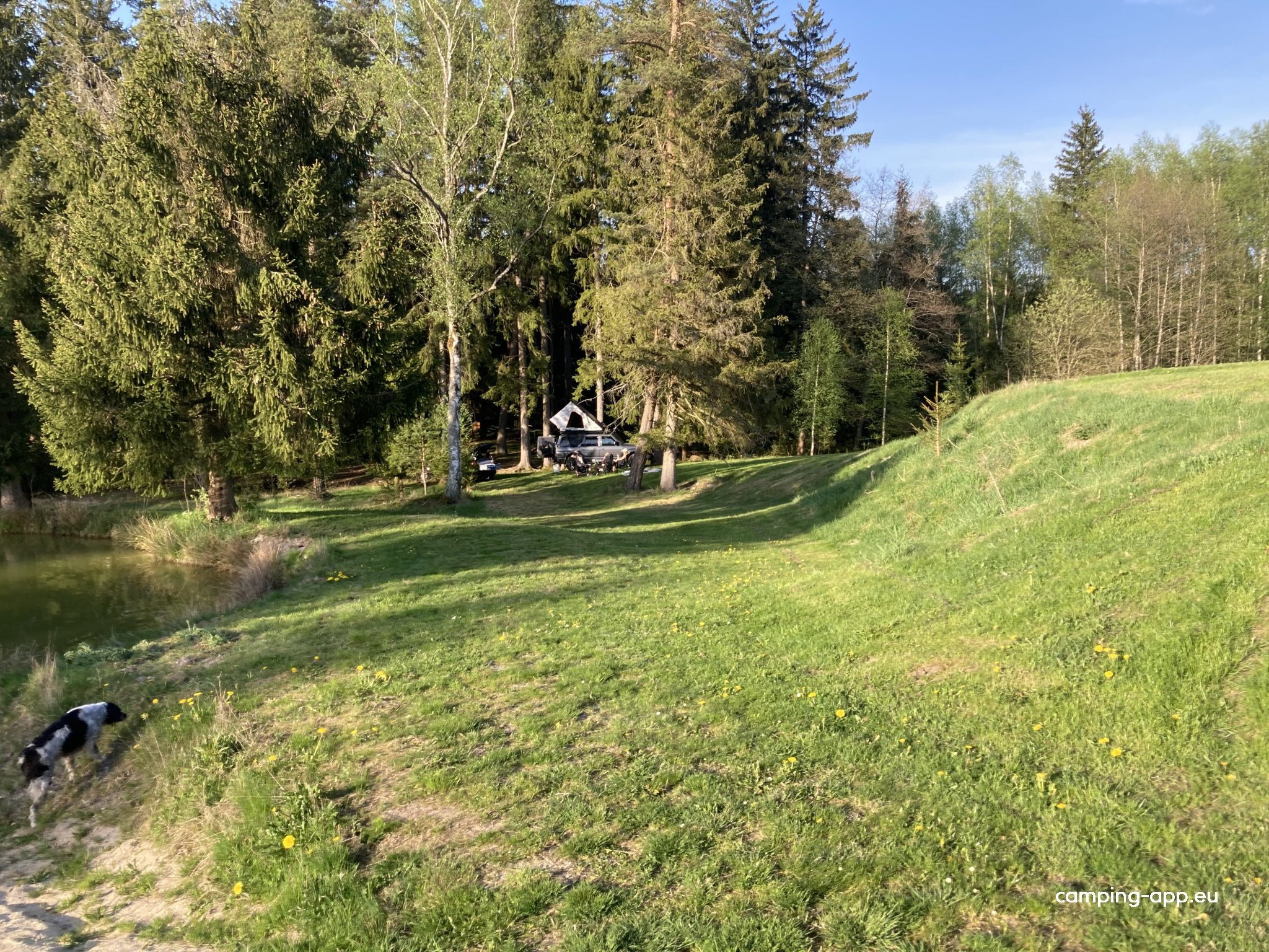 Hof Wiesengrund Alm — Photo 5