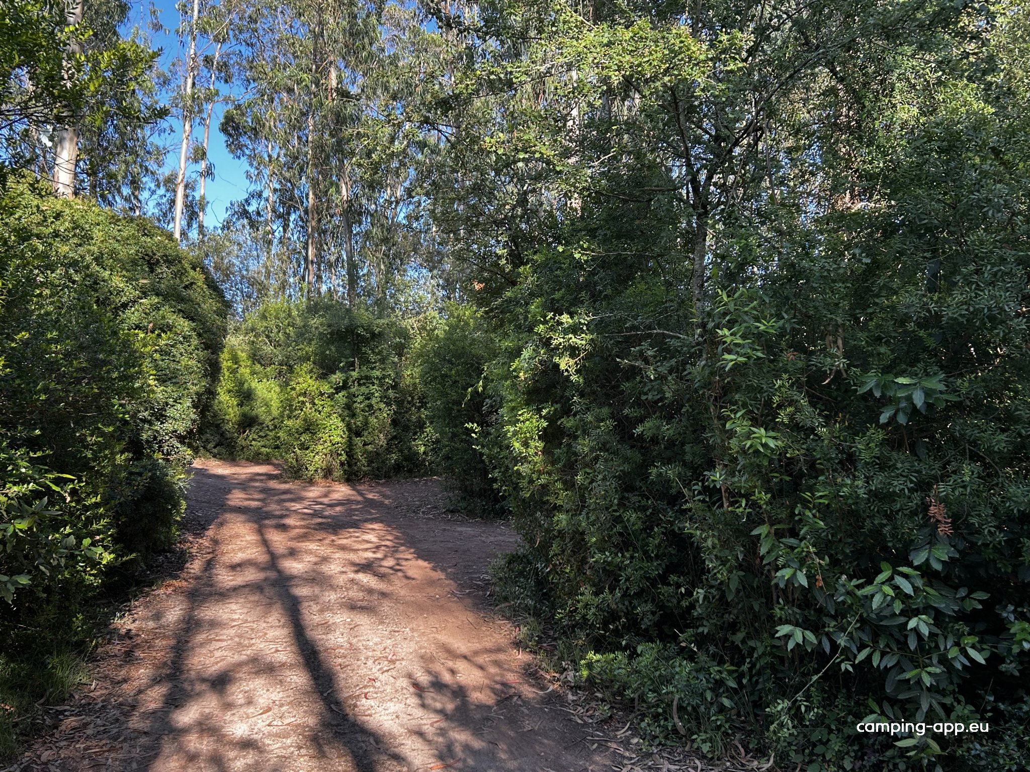 Camping Silveira — Camping Site in Alcobaça