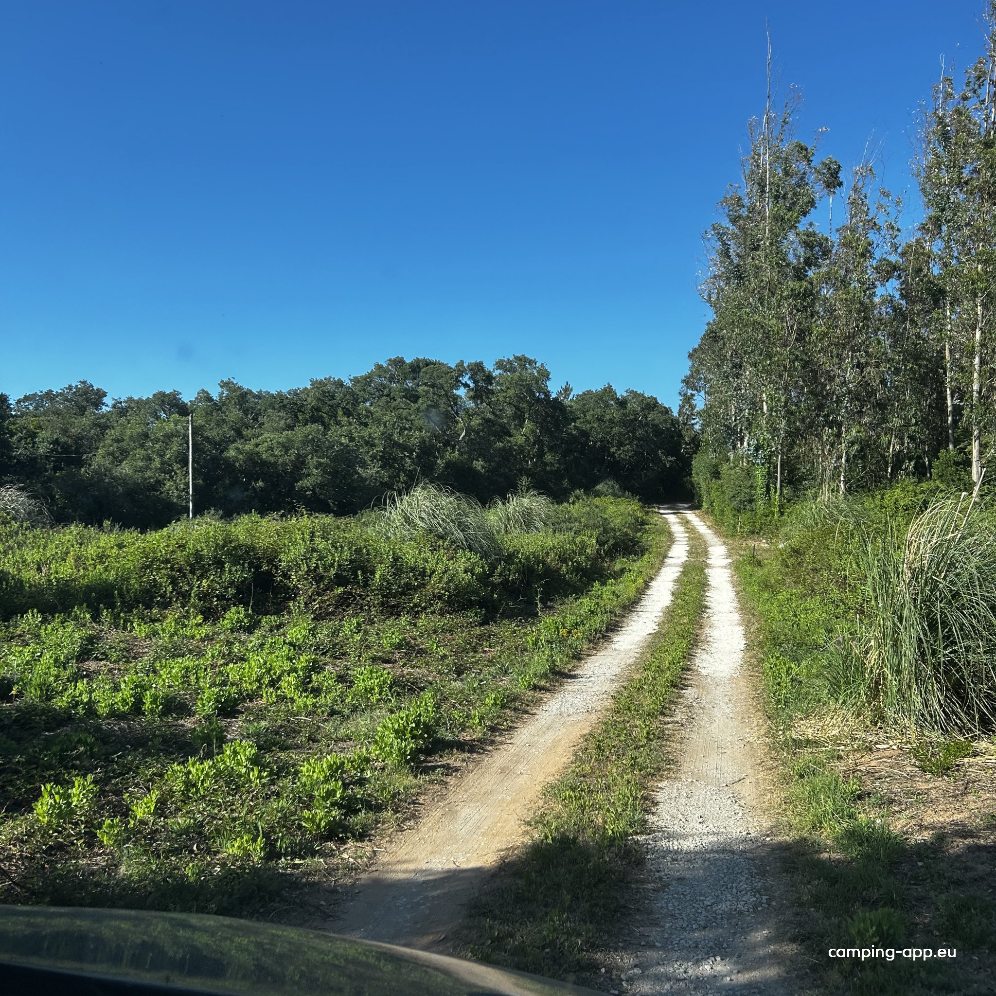 Camping Silveira — Photo 3