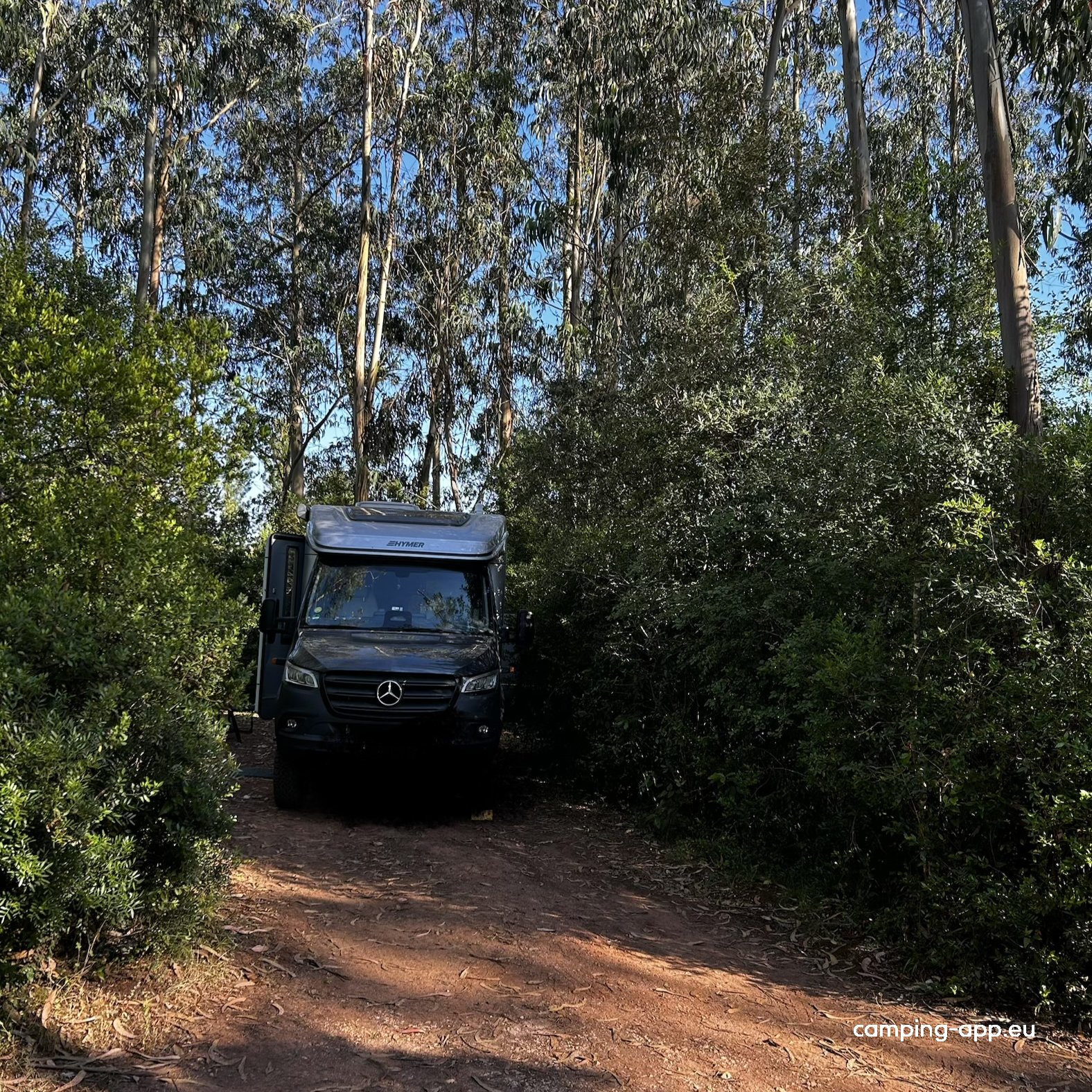 Camping Silveira — Foto 3