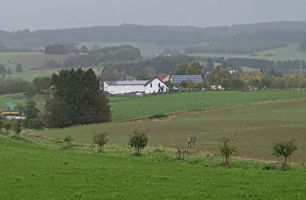 Stellplatz auf dem Mechels-Hof — Restoran veya Otel Alanında in Hörschhausen