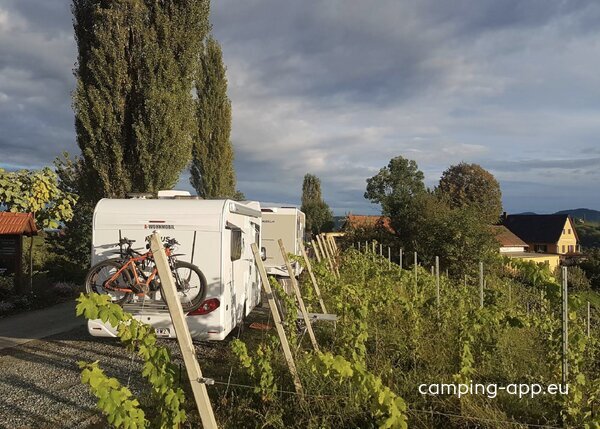 Weingut Legart — Photo 2