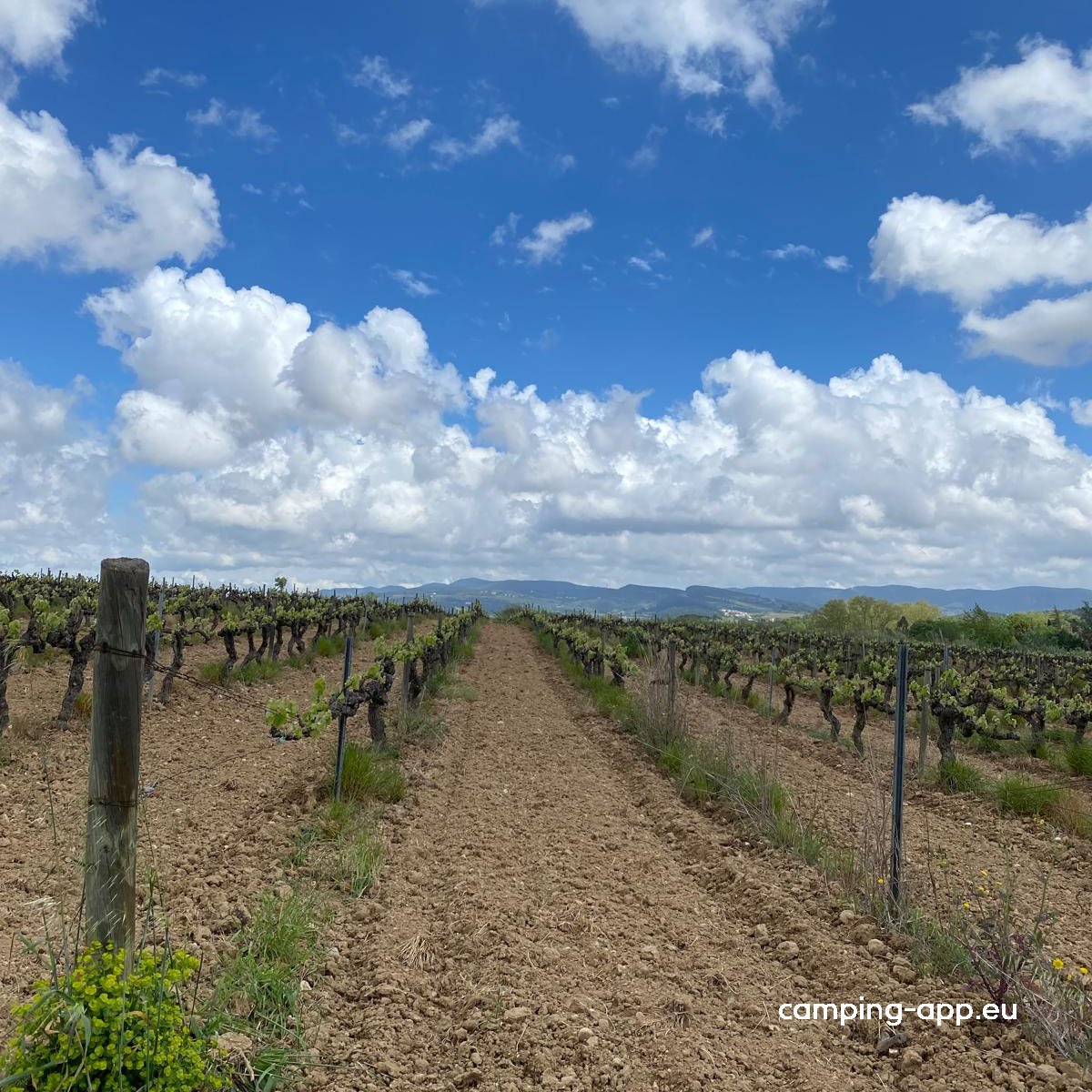 Stellplatz El Pla del Penedès — Area Autocaravanas in El Pla del Penedès