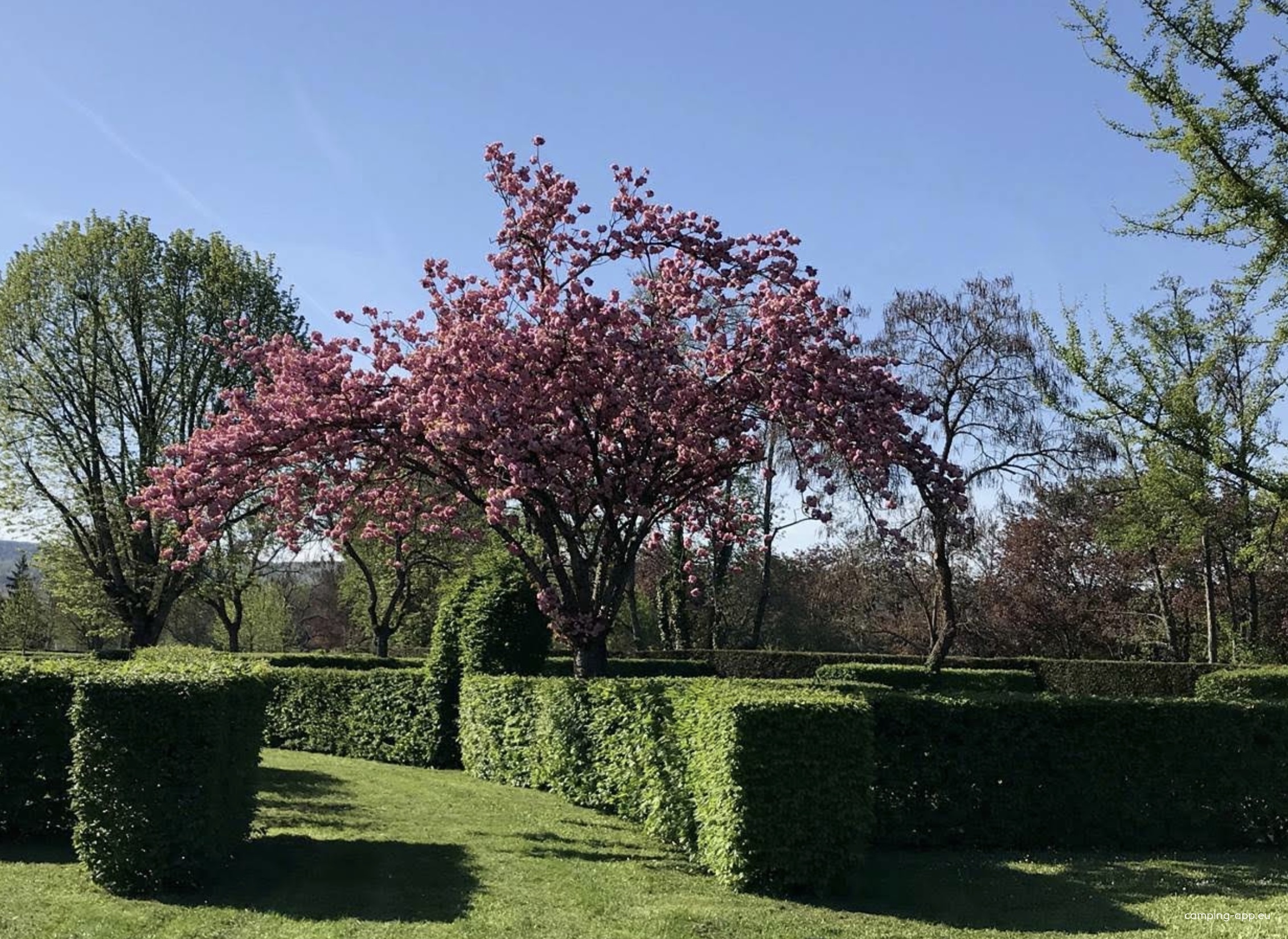Camping Paquier Fane *** — Campingplatz in Chagny