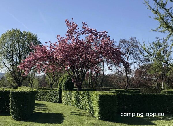 Camping Paquier Fane *** — Foto 3