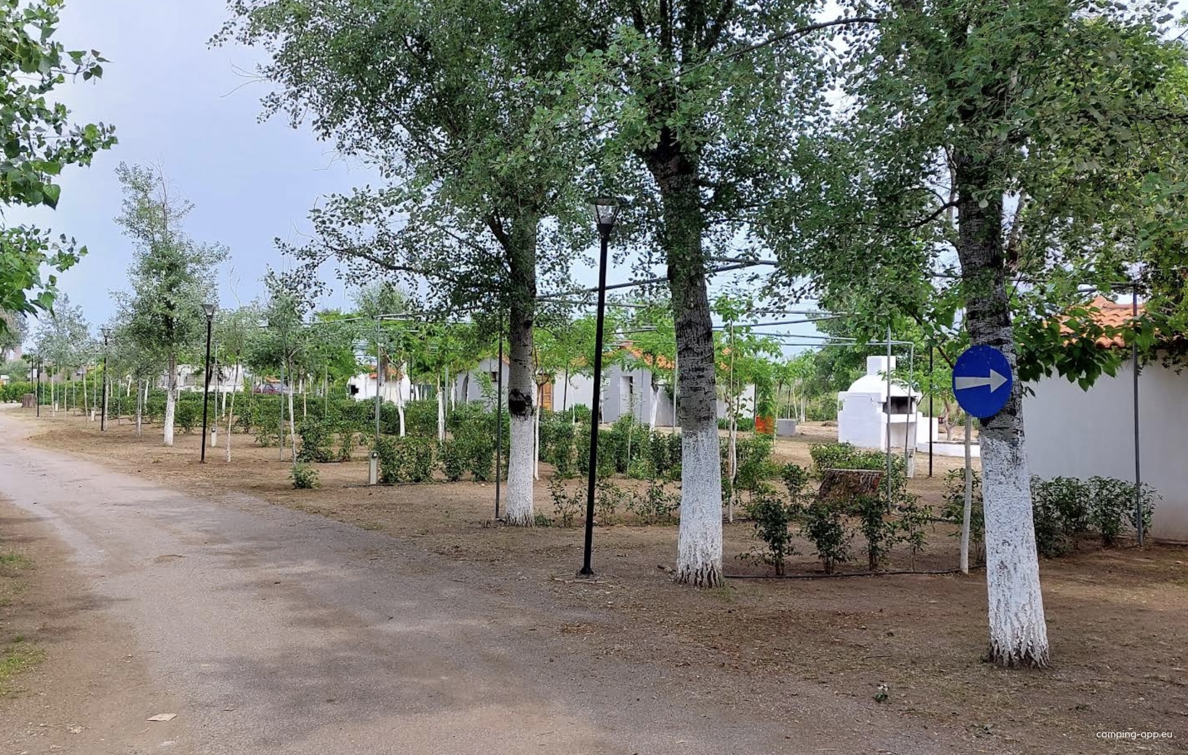 Club Agia Anna Summer Resort — Campingplatz in Παραλία Αγίας Άννας