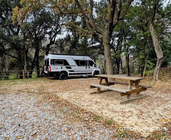 Aire camping-car l'orée du bois — Foto 3