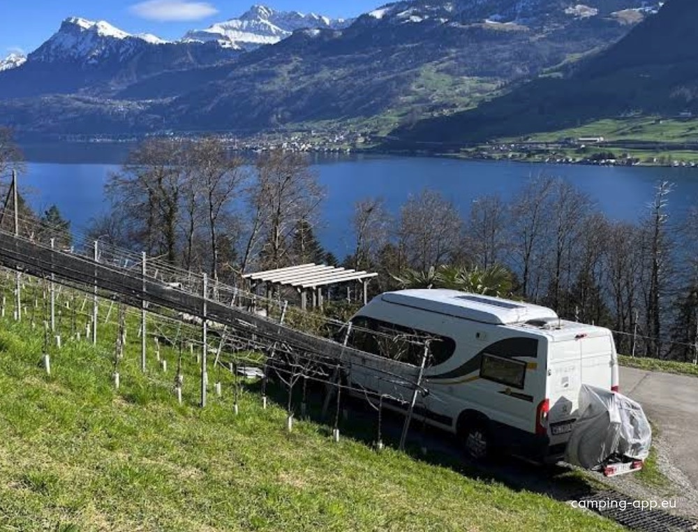 Stellplatz Weingärtli — Weingut in Ennetbürgen