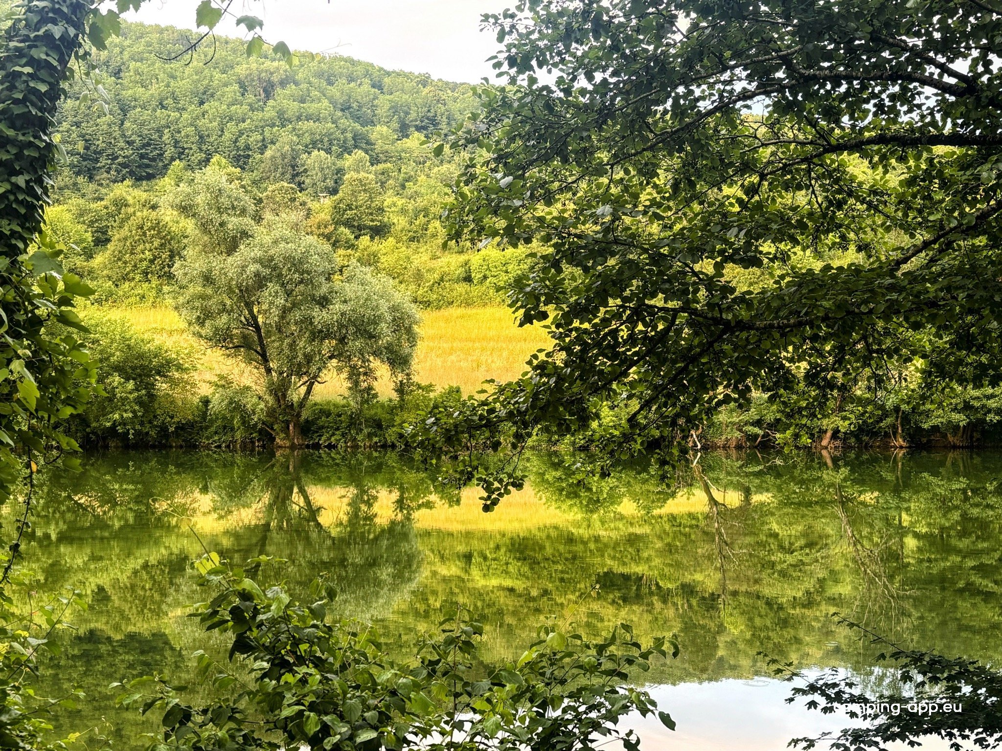 Kamp Jankovic — Foto 5