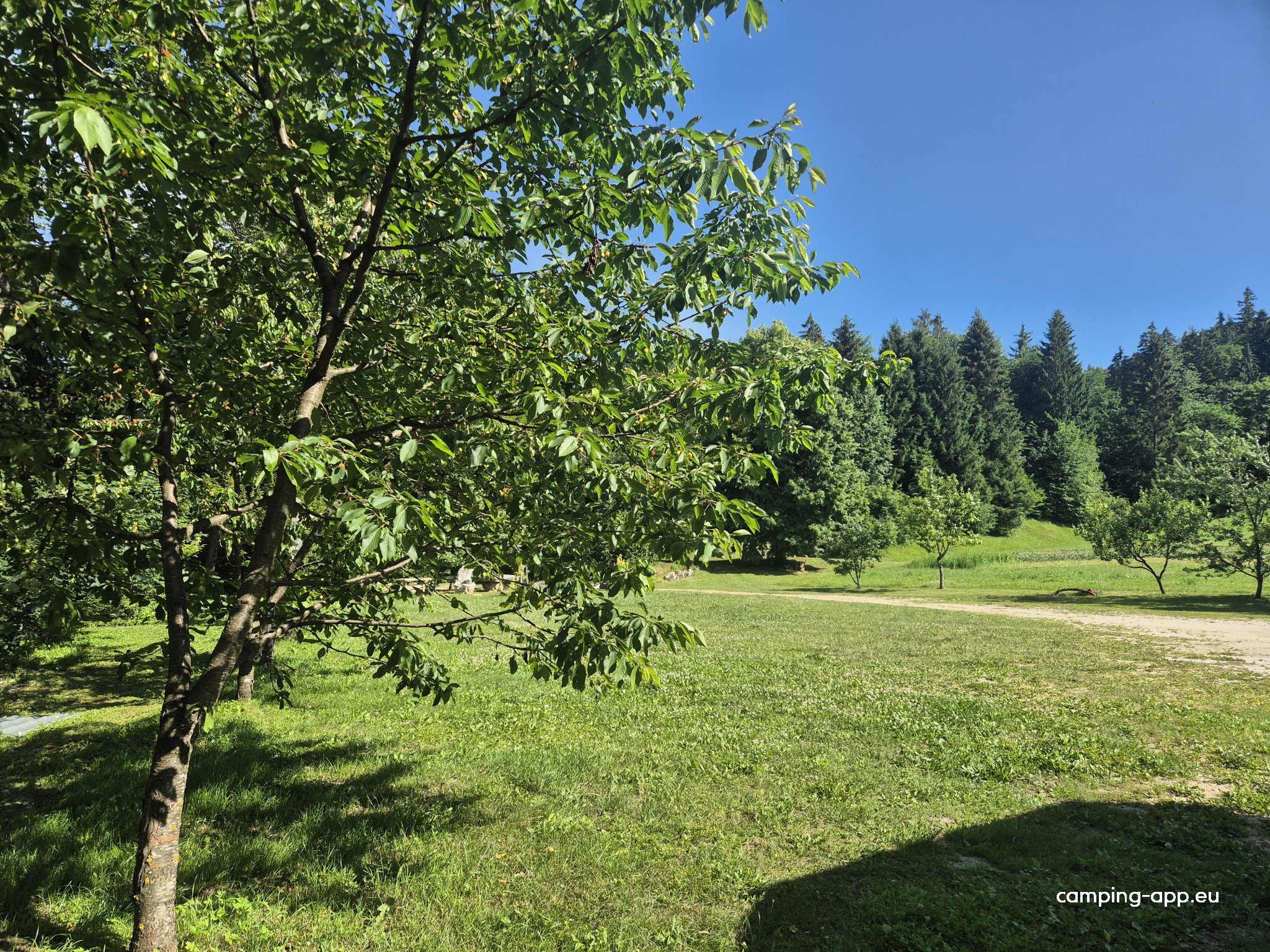 Camp Holzer