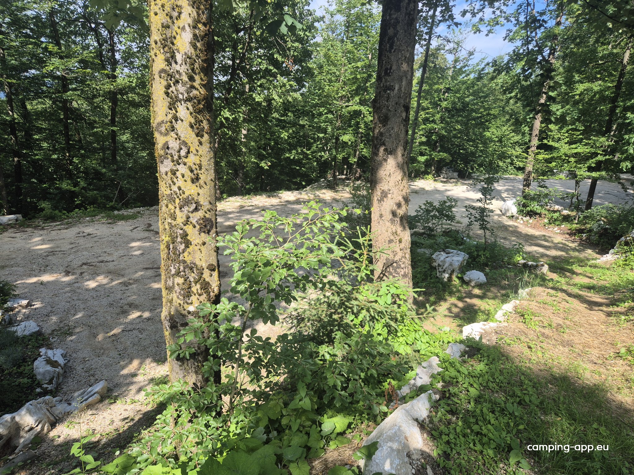 Camp Holzer — Foto 4