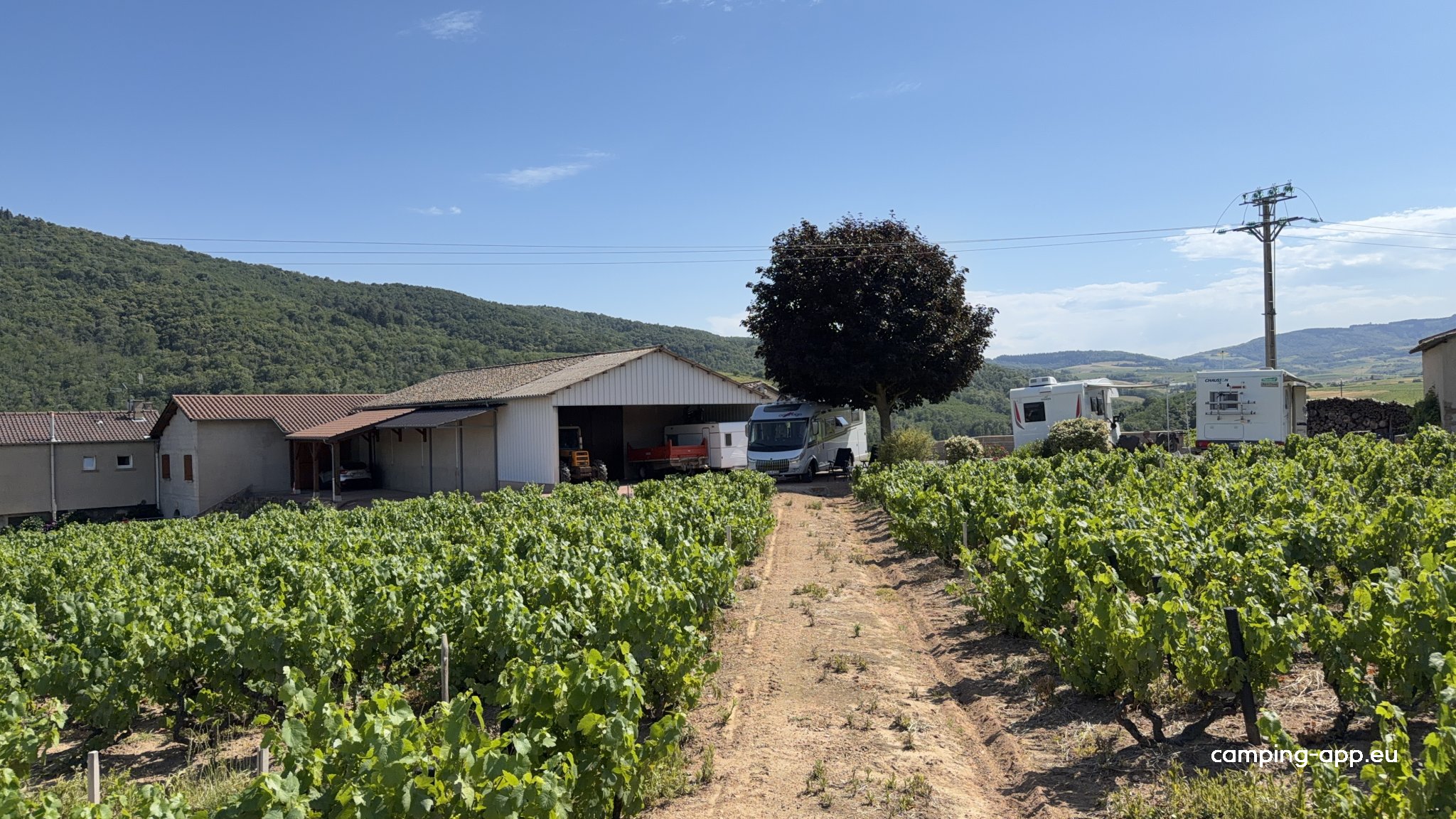 Domaine Matray — Vinařství in Juliénas