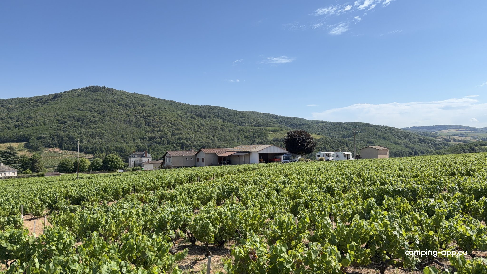 Domaine Matray — Foto 4