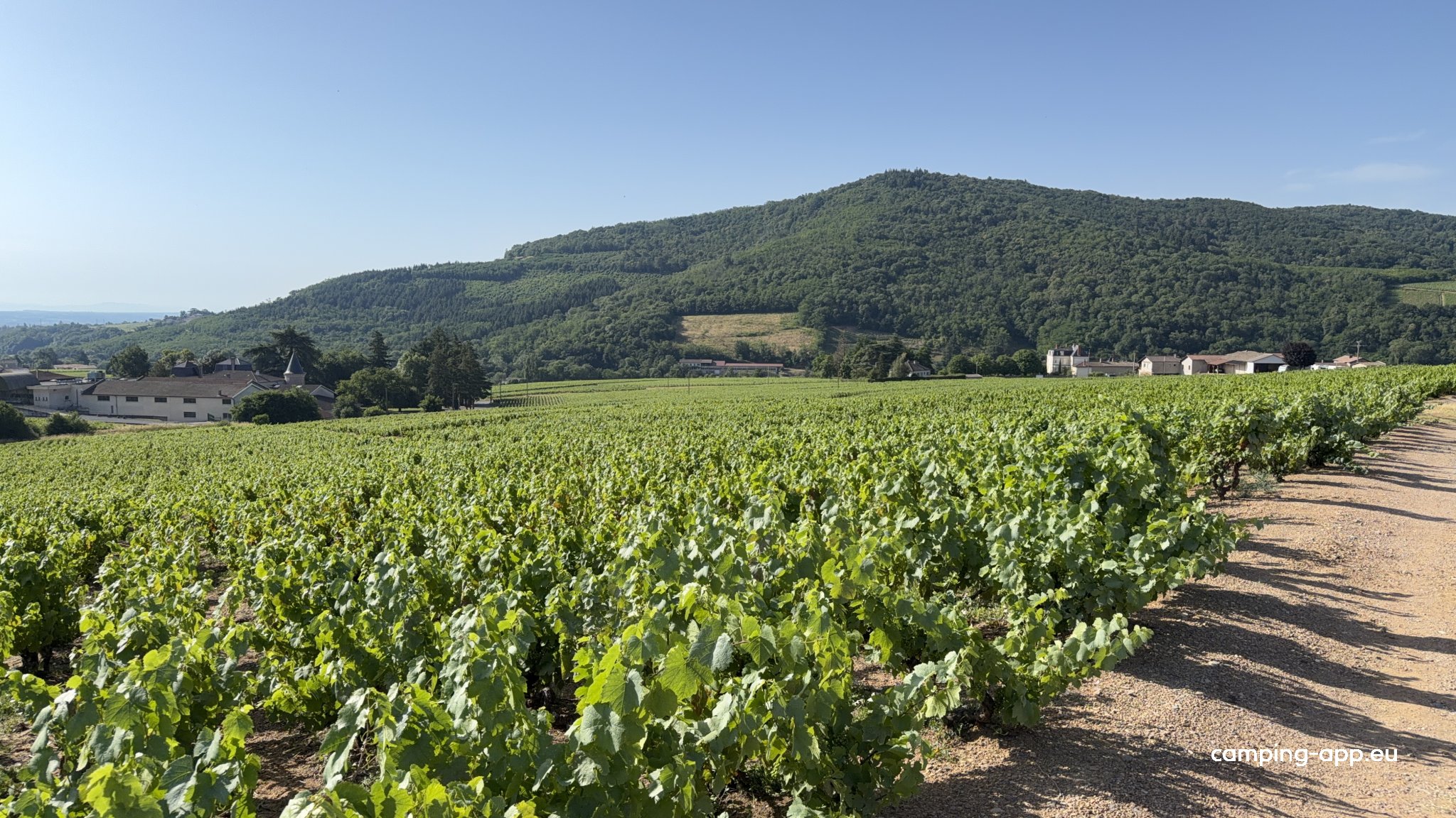 Domaine Matray — Fotografie 4